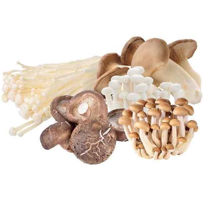 Dagverse Gemengde Paddenstoelen 400g