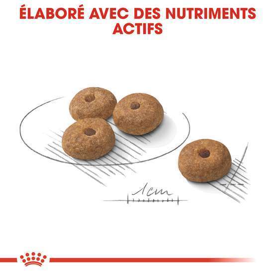 Croquettes petit chien stérilisé Mini Sterilised 8kg