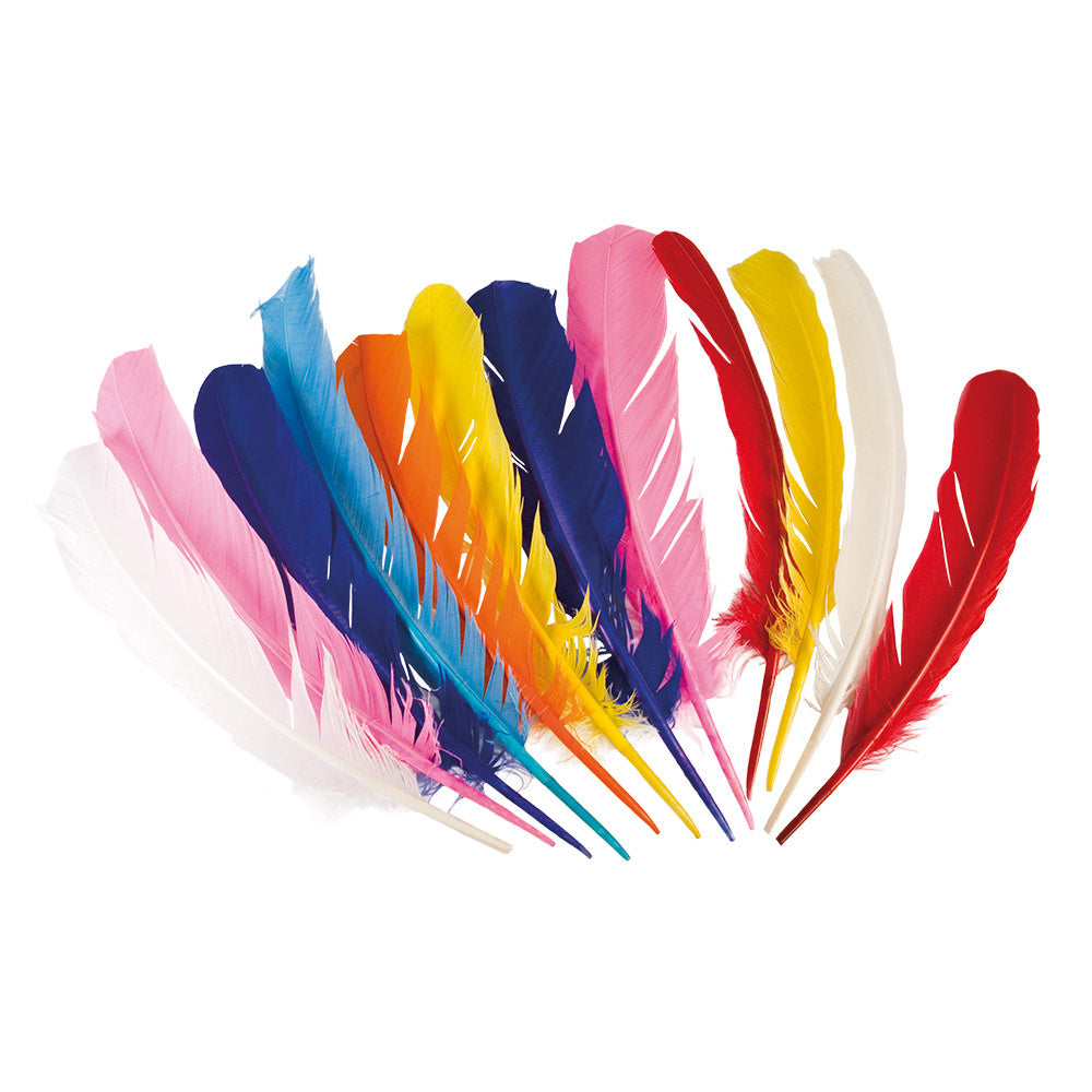 Uitdeelcadeautjes Veren 30cm 12st