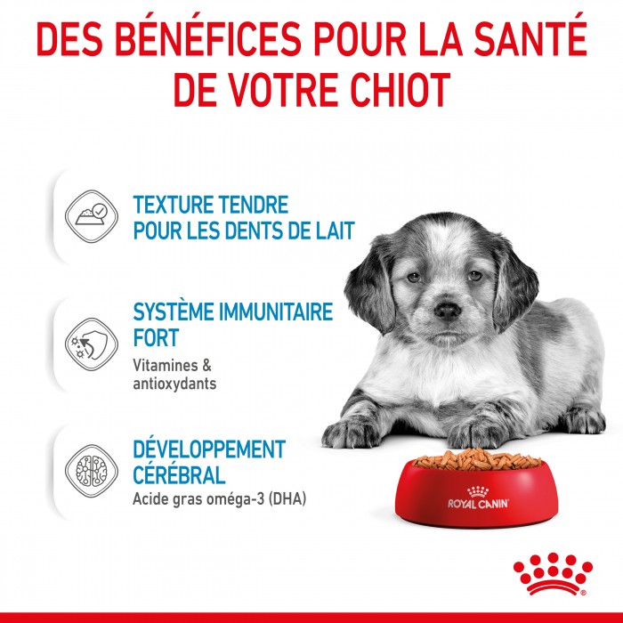 Royal Canin Medium Puppy en Sauce - Pâtée pour chiot