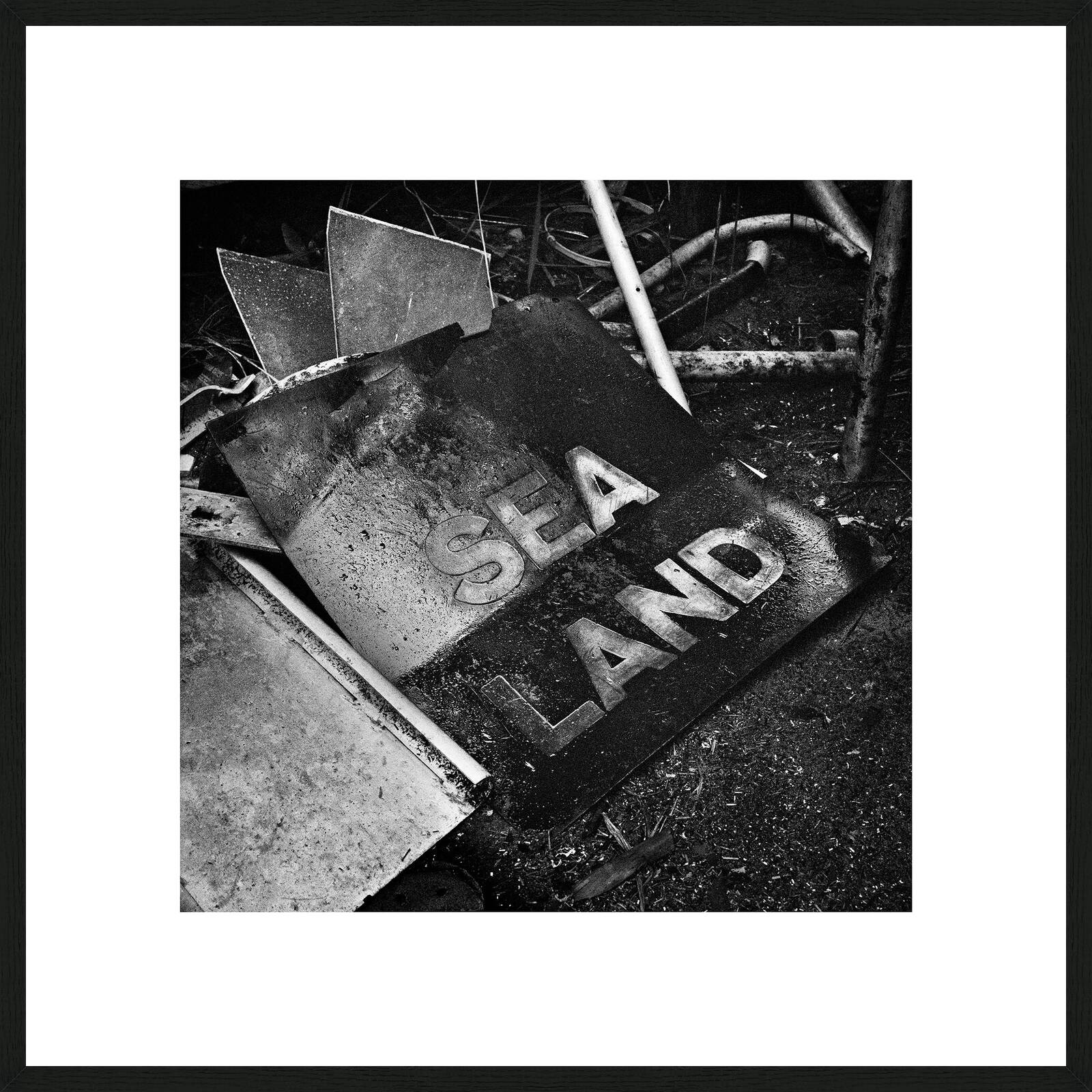 Sea/Land by Patrick J. Adams - Limited Edition. Edition of: 75. Signed.