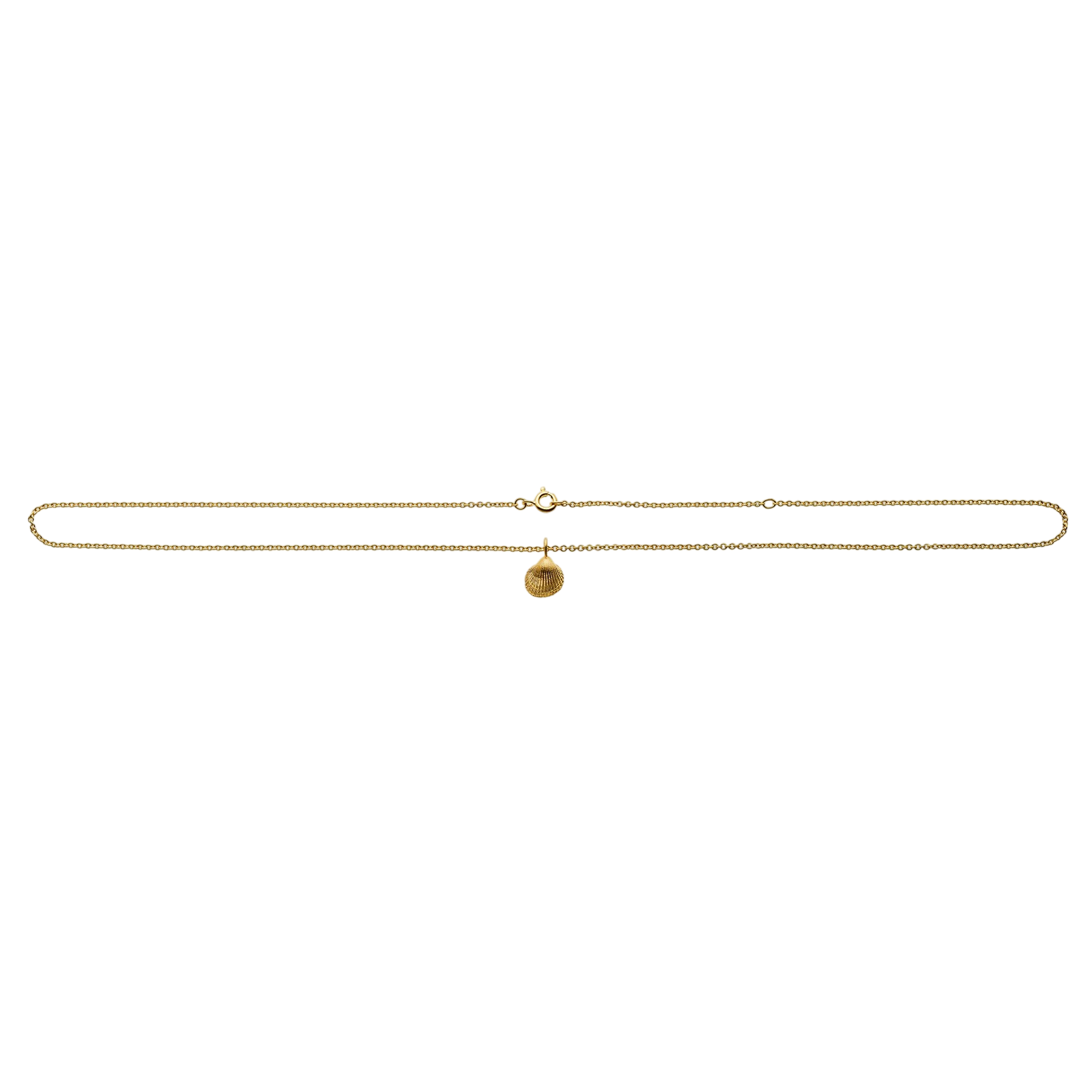 Collier 50cm vergoldet mit Muschel Anhänger