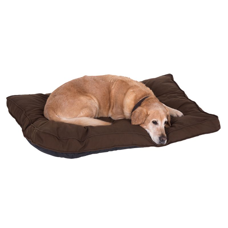 Coussin Cozy Mocca à prix discount sur bitiba.fr