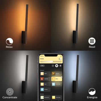 Philips Hue liane 12wwandlamp zwart