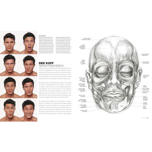 Anatomie für Künstler