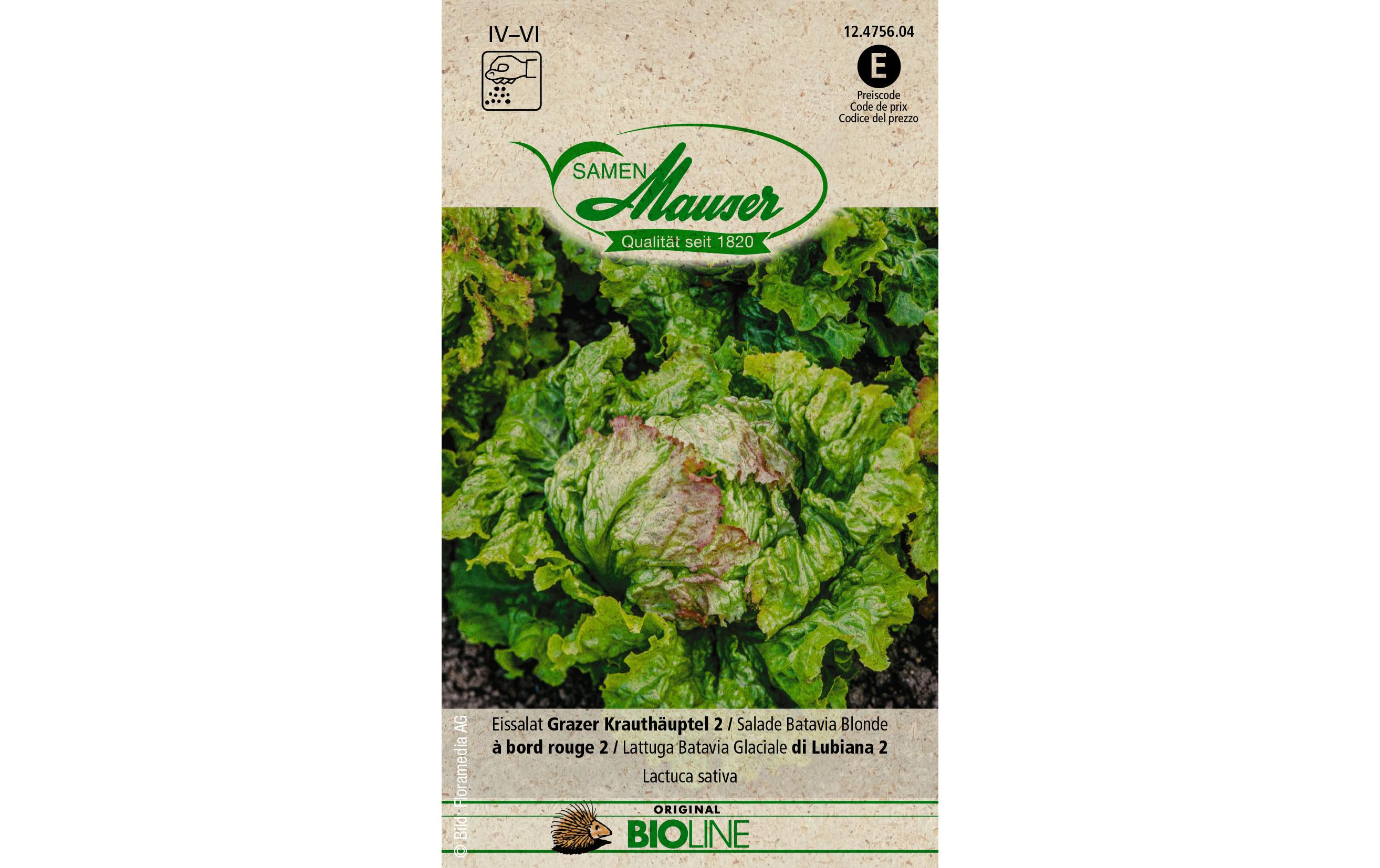 Samen BIO Eissalat Grazer Krauthäuptel 2Gemüsesamen