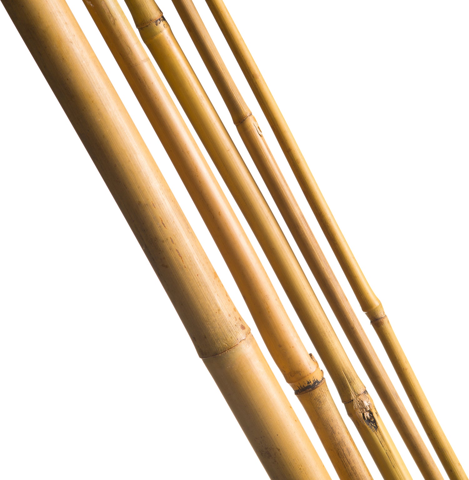 Nature bamboestok h300cm D20-22mm naturel 3 stuks