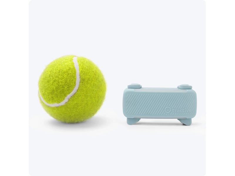 tractive GPS-Tracker DOG 6 Mint GPS Tracker für Hunde