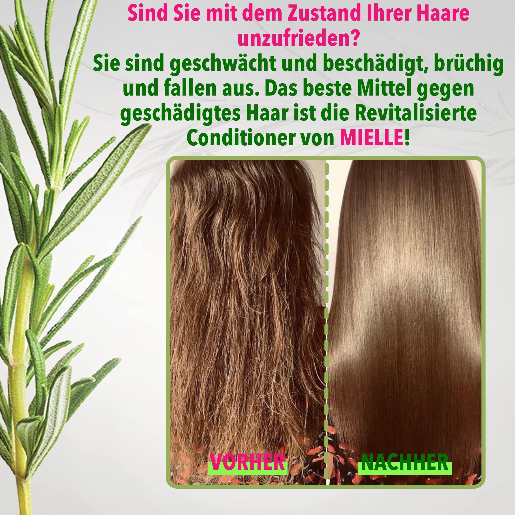 Mielle Organics Haarspülung Rosmarinöl Mint für Haarwachstum