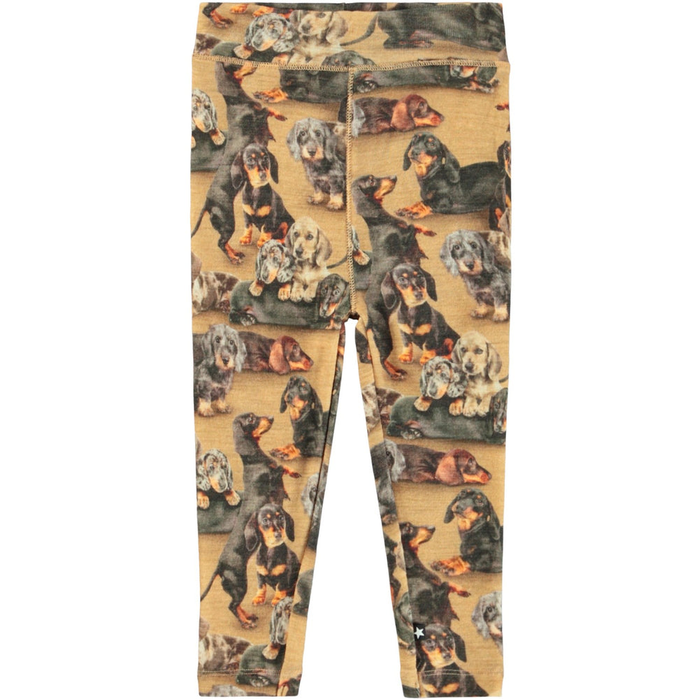 Køb Molo Dachshunds Sting Uld Soft Leggings