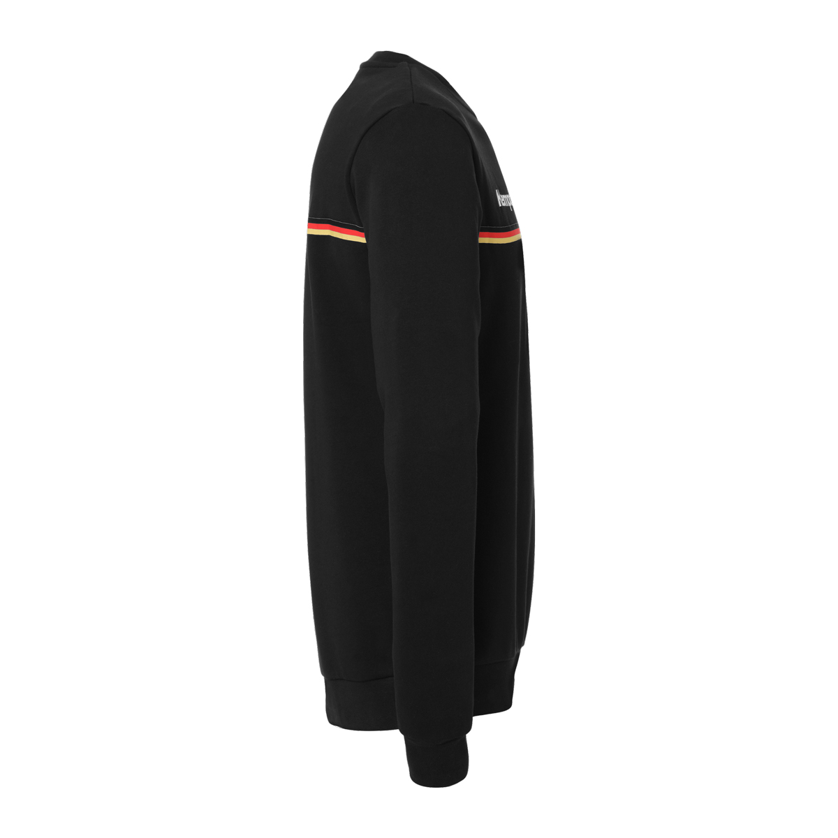 Sweatshirt Team GER