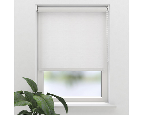 Soluna daglichtrolgordijn T11, wit structuur, 60x190 cm