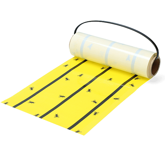 Knock Pest Vliegenkleefrol Geel 5 Meter  | 11247