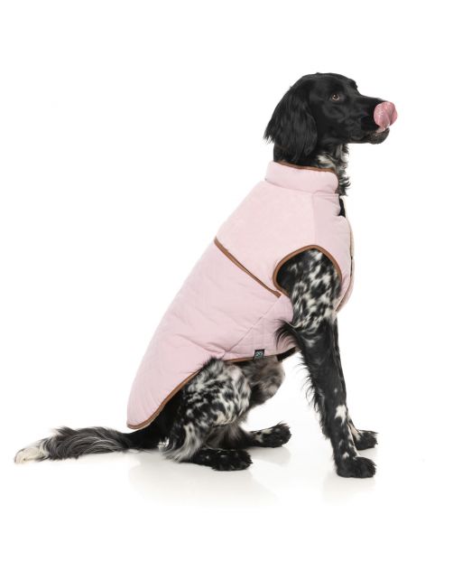 Fuzzyard Ivanhoe Jacket Roze - Hondenkleding