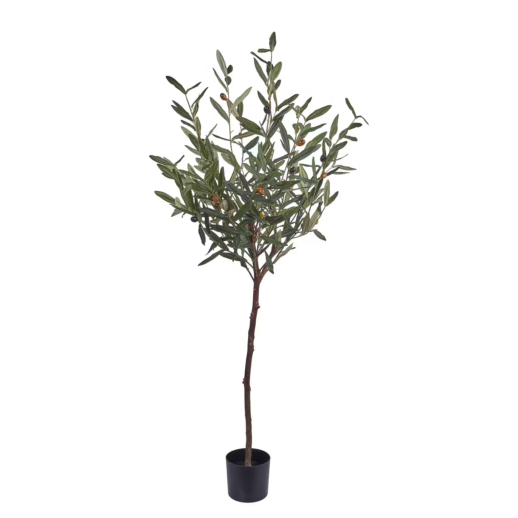 FLORISTA Kunstpflanze Olivenbaum