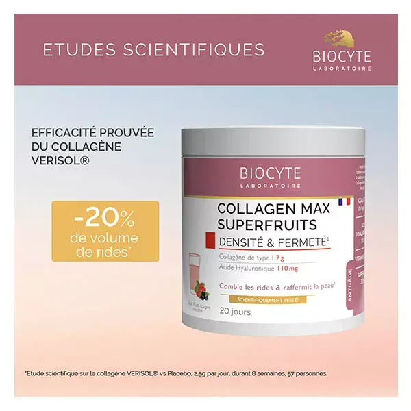 Biocyte Collagen Max Superfruits Anti-Idade Colágeno Ácido Hialurônico 260g