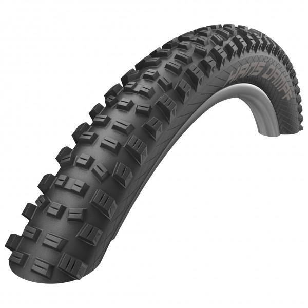 Schwalbe - Hans Dampf Perf. 26'' (60-559) Twinskin FB TLR - Pneu de vélo