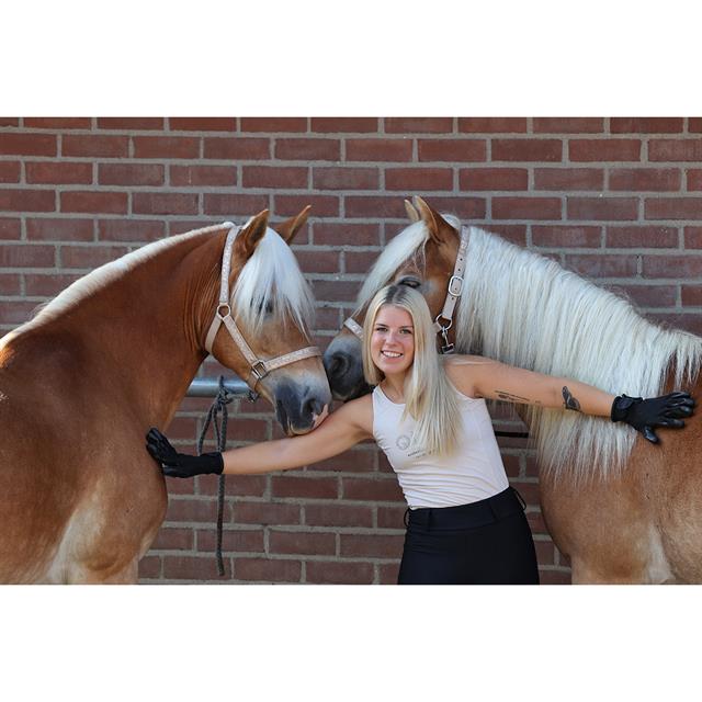 Poetshandschoen HORSEGEAR HGScrub Zwart