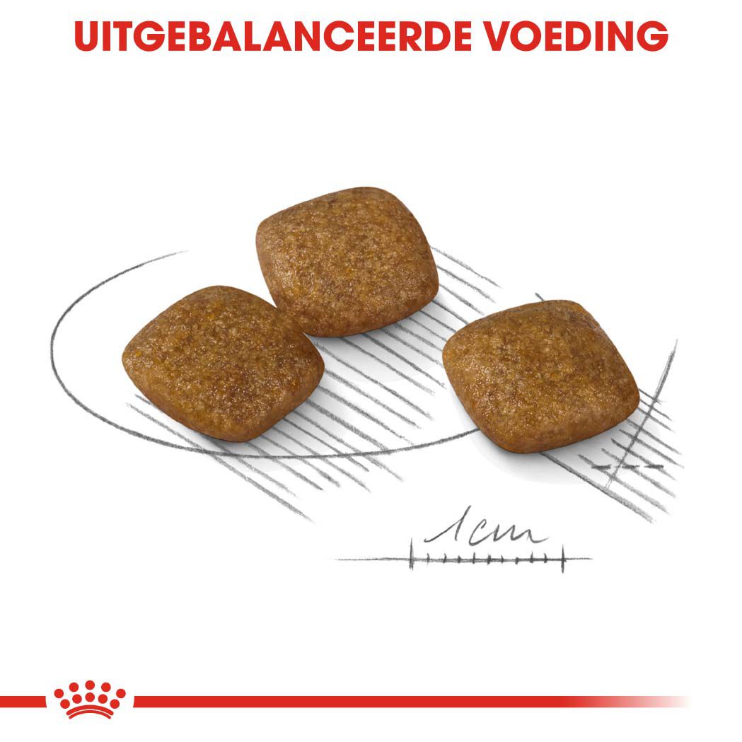 Royal Canin Relax Care Mini - Hondenvoer - 8 Kilogram - gevogelte