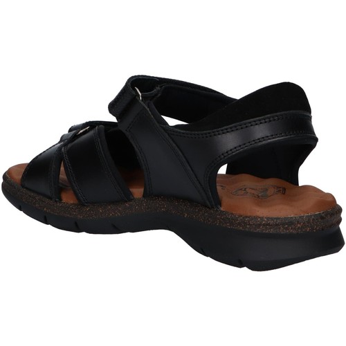 Panama Jack - SANDERS C14 Negro