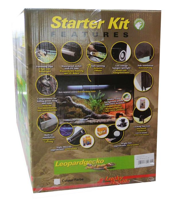 Lucky Reptile Terrarium Starter Kit