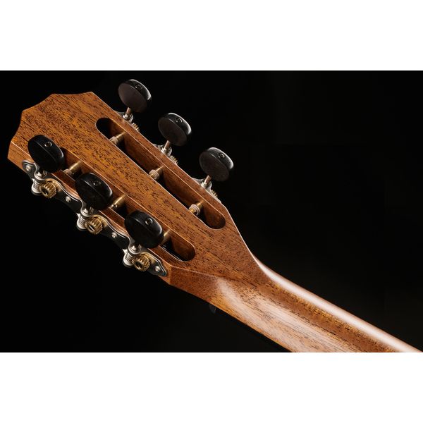 Taylor 312Ce-12Fret-V-Class