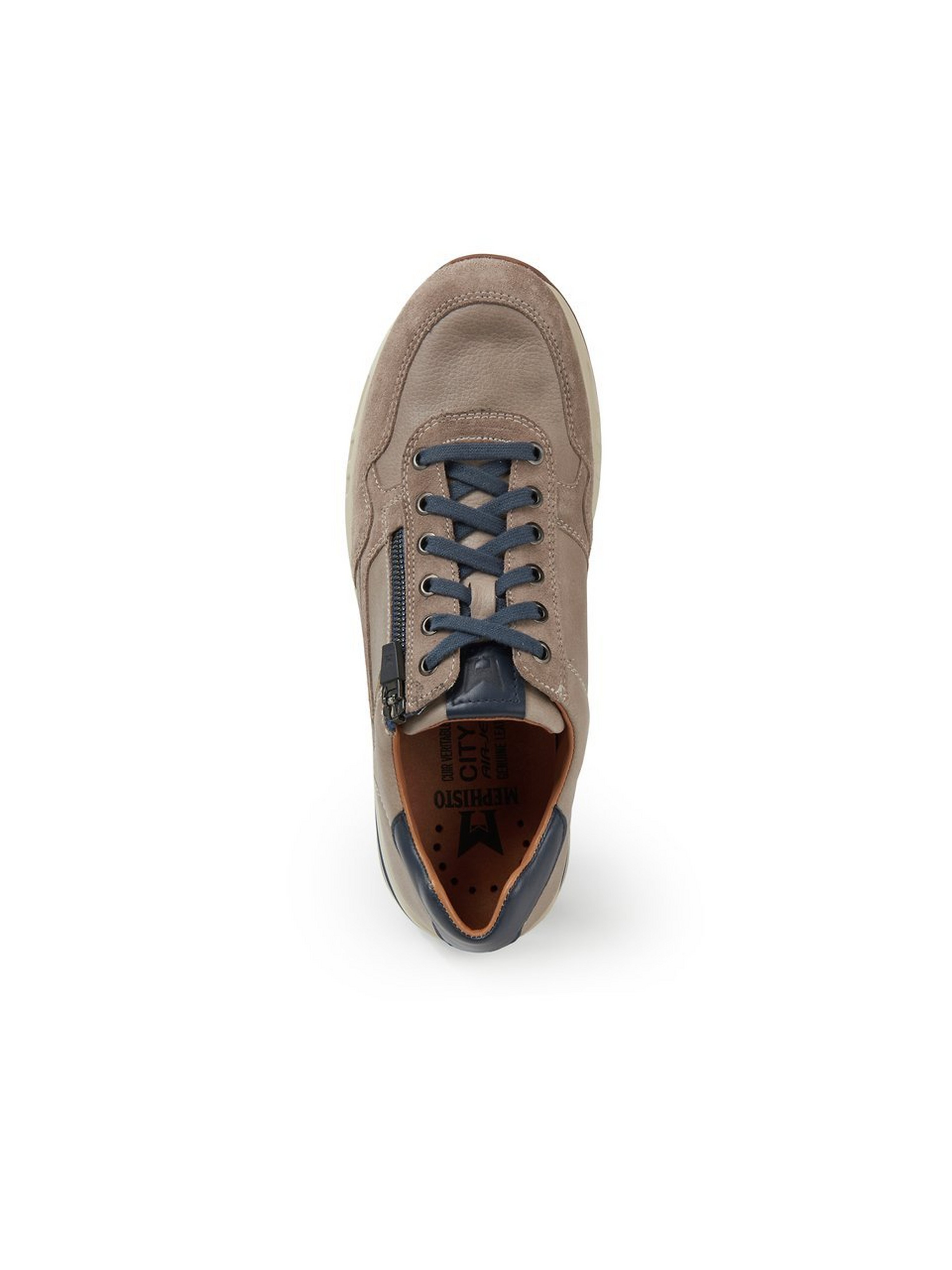 Sneaker Bradley