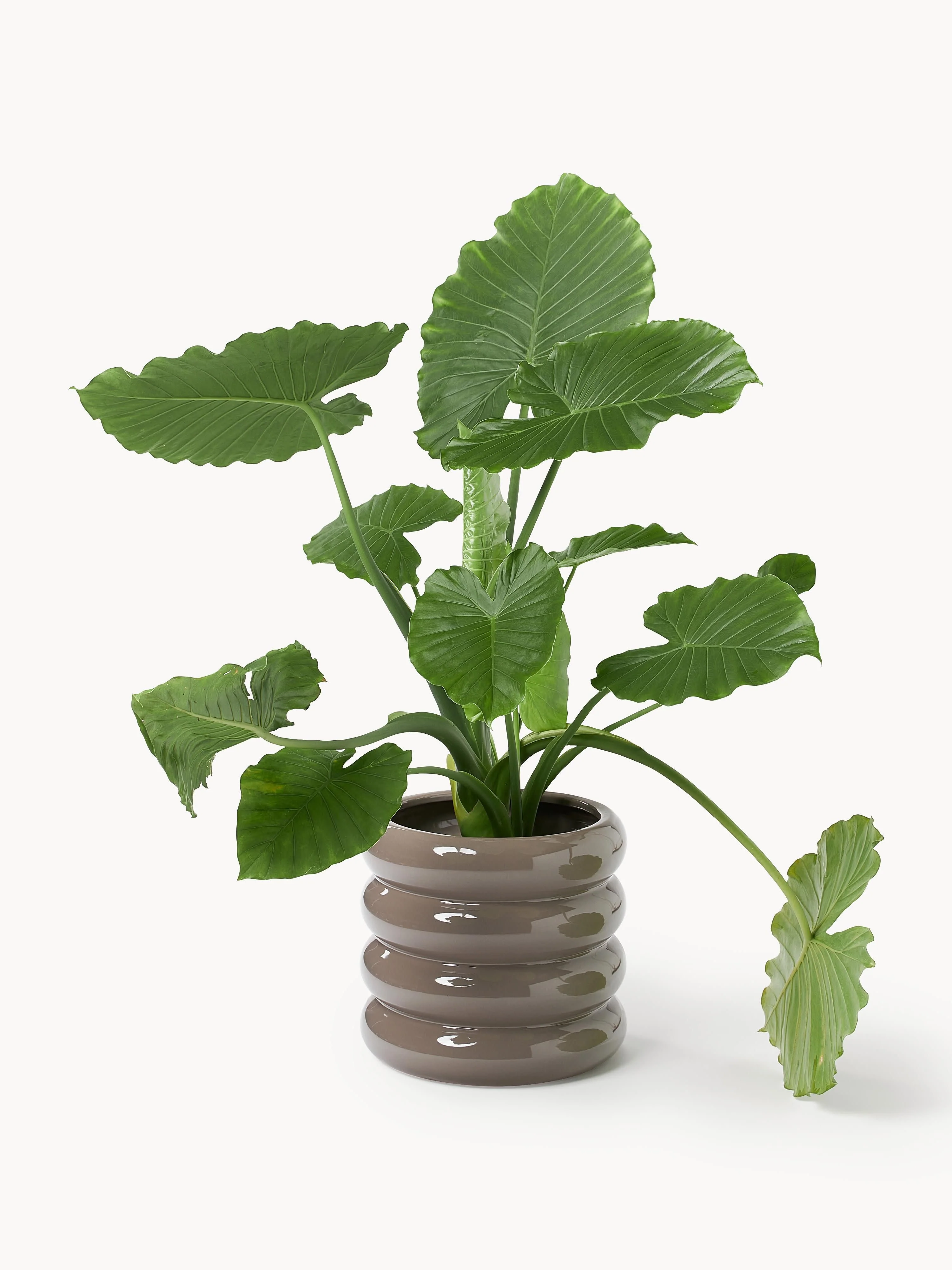 Plantenpot Rudi van keramiek, H 30 cm