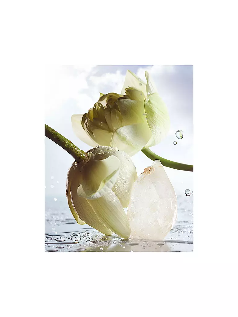 BVLGARI Man Rain Essence Eau de Parfum 100ml keine Farbe