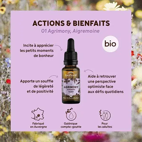 Florais de Bach Biofloral 01 Agrimônia (Agrimony) Orgânicos em conta-gotas de 20 ml