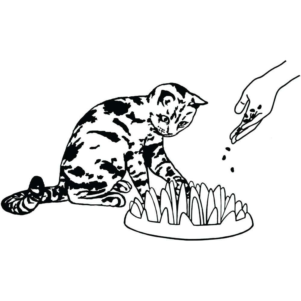 Gamelle plateau anti glouton 27 cm violet pour chat