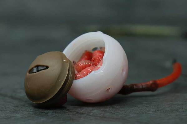 Liquirigs Multi-Bait Boilie Hookbait System Brown In-Line (4 Pièces)