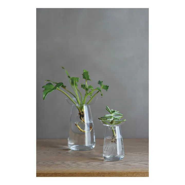 Kinto Vase en verre Aquaculture | Transparent