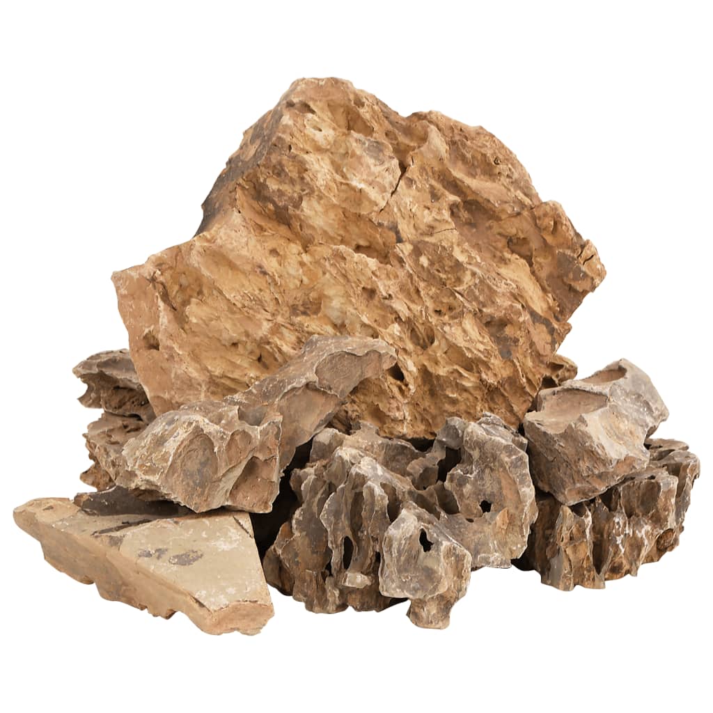 vidaXL Pedras de Dragão Marrom 10 kg 5-30 cm