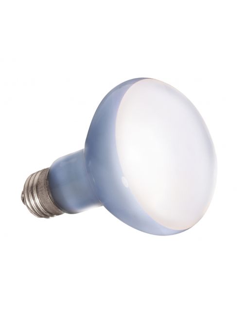 Exo Terra Daylight Basking Spot - Verlichting