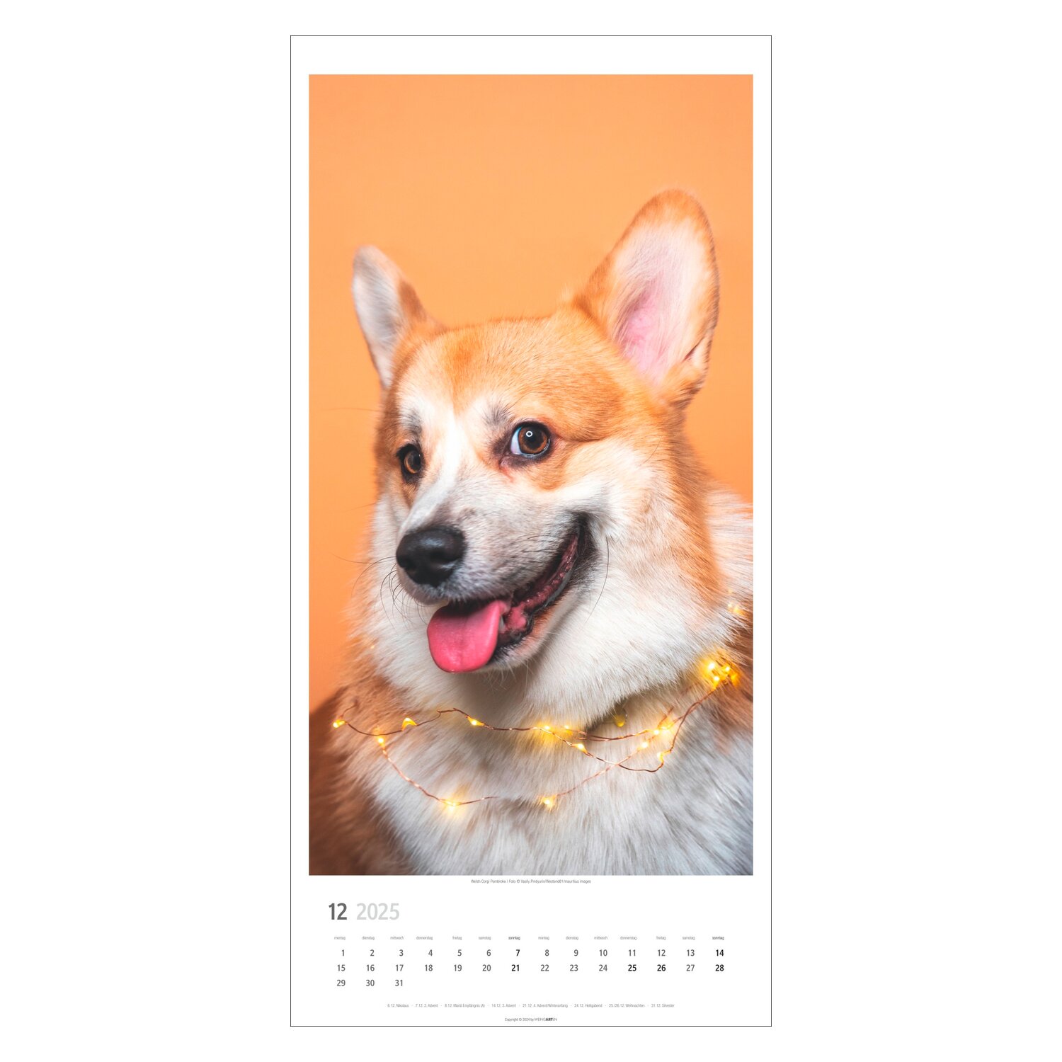Kalender 2025 SITZ! PLATZ! BLEIB!  - 2025