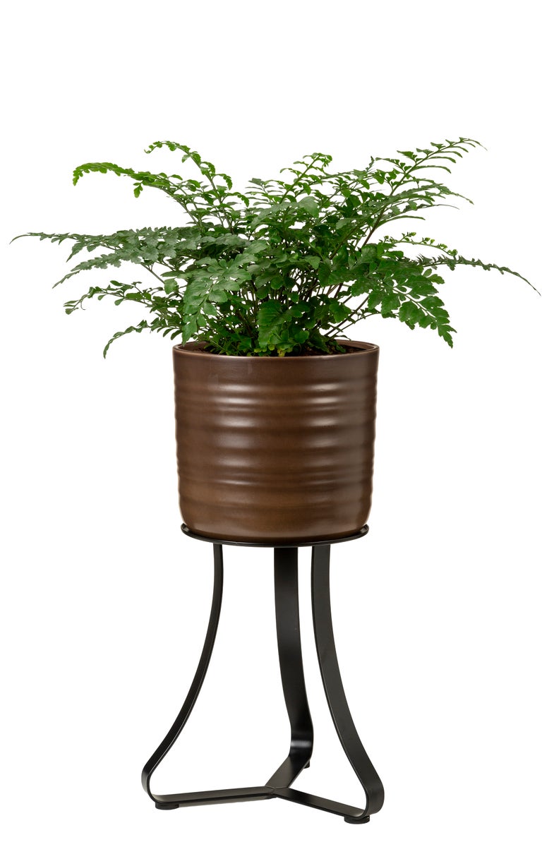 Scheurich Paris 27, plantenstandaard/bloemenstandaard/bloempotstandaard/voetstuk van metaal, kleur: Satin Black, 26,4 cm diameter, 28 cm hoog, 19,5 l inhoud.
