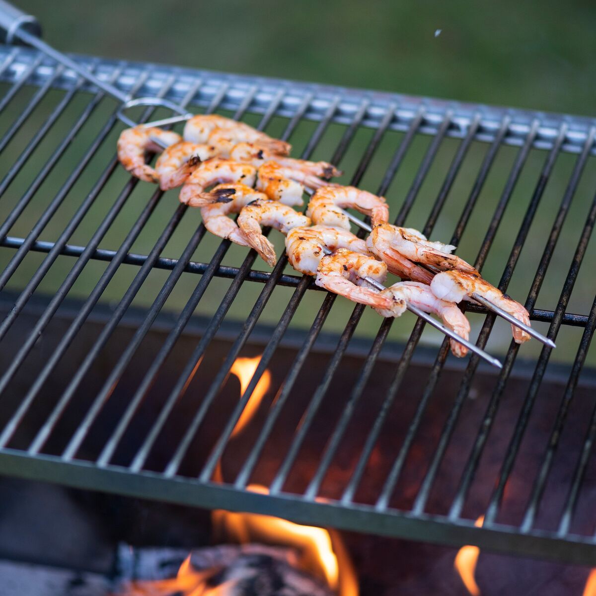 Patagonia kullgrill