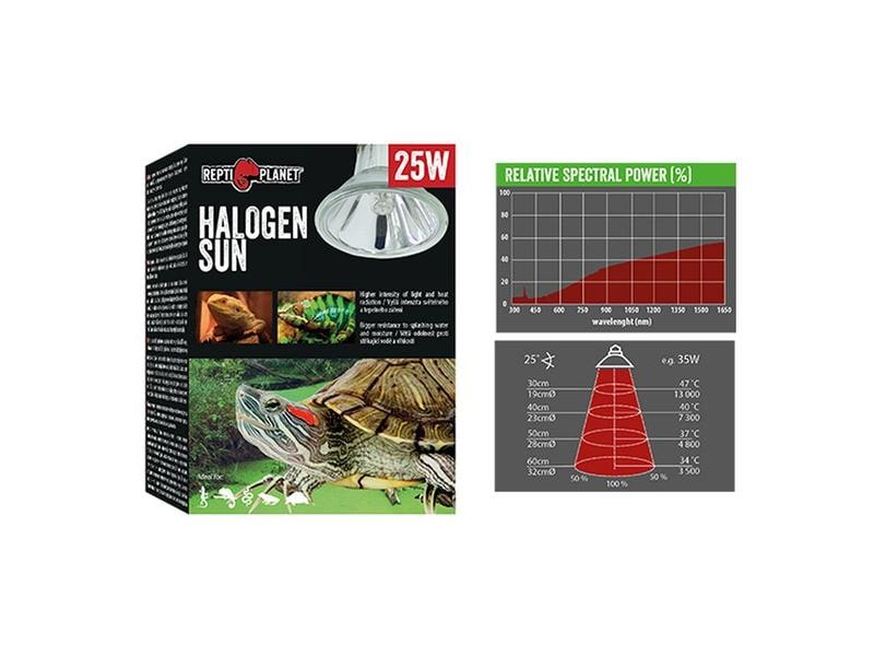 Repti Planet Terrarienlampe Halogen Spot 35 W Spotbeleuchtung für Terrarien