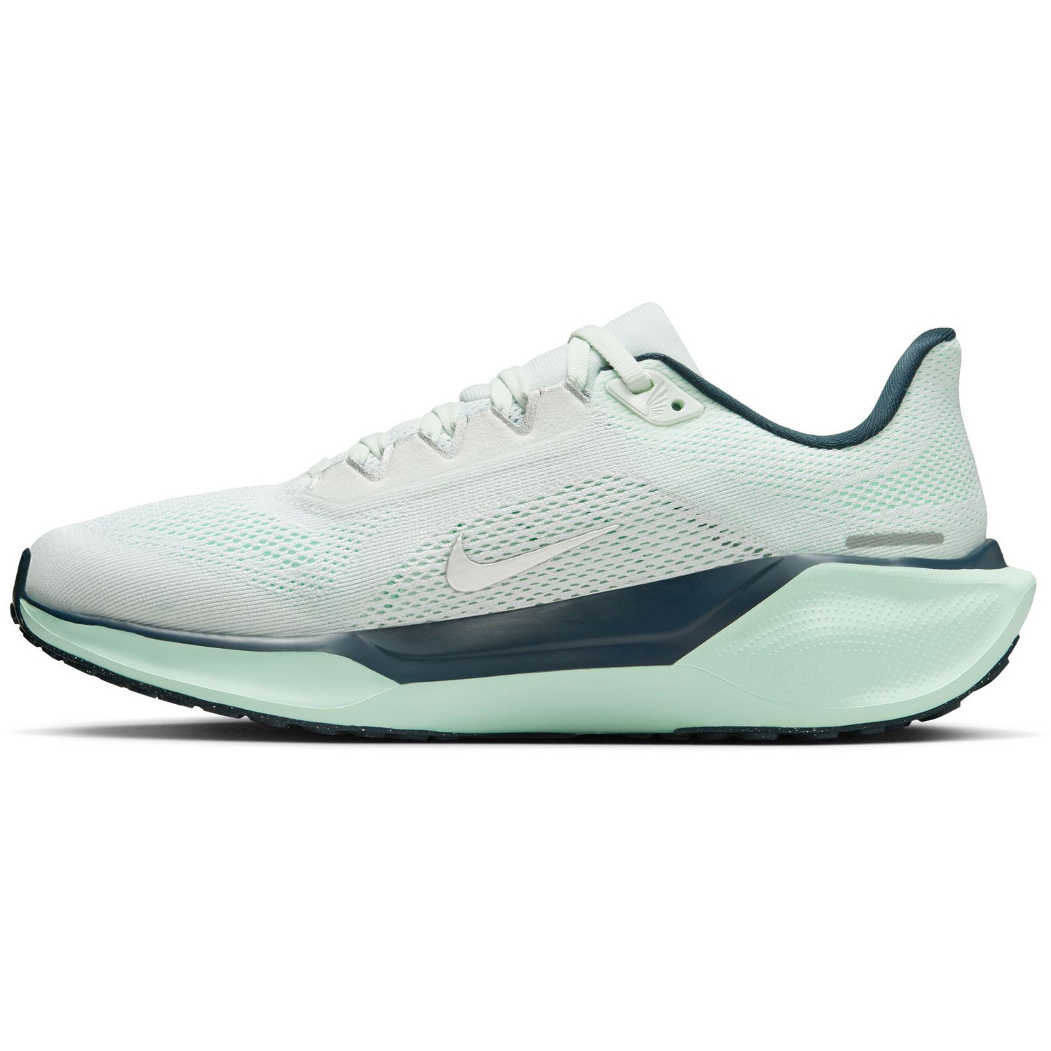 Nike Pegasus 41 Dames