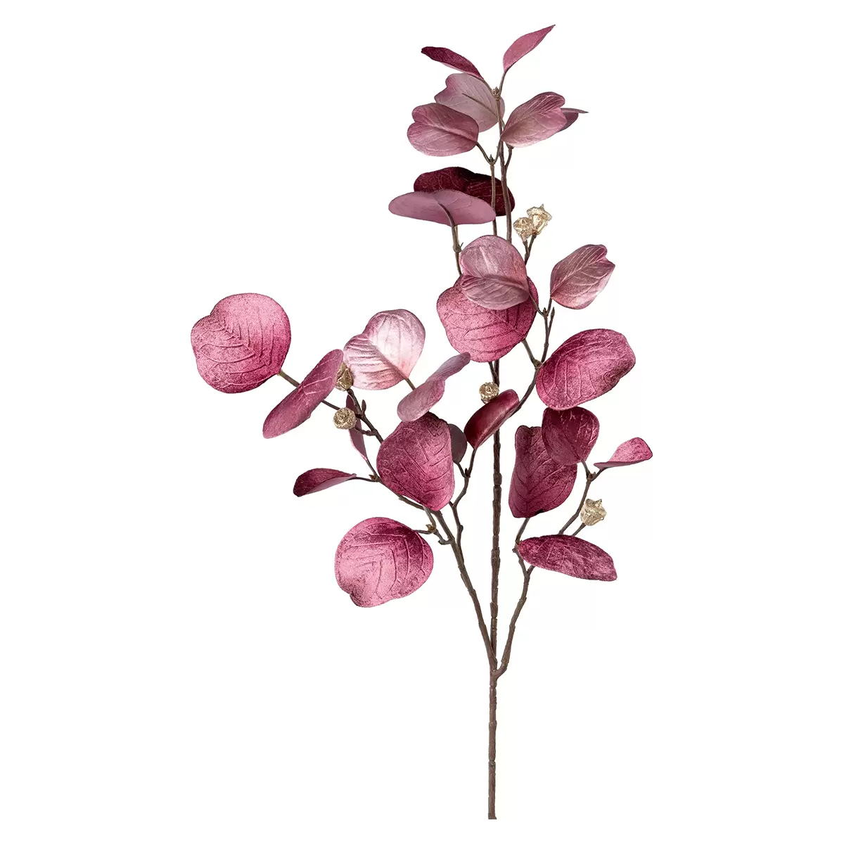 Eukalyptuszweig Velvet fuchsia