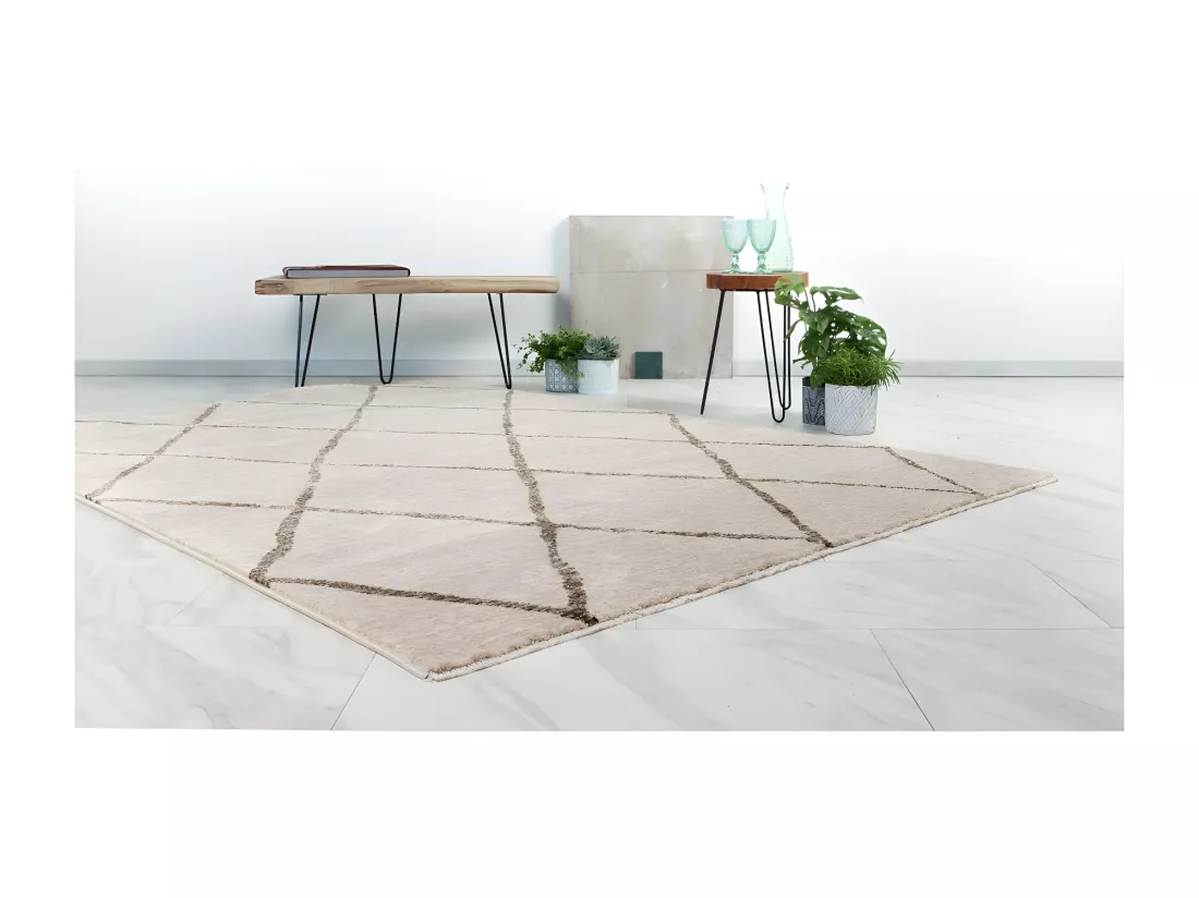 Tapis 290x200cm, design A105R coloris beige - Confort et élégance pour votre intérieur