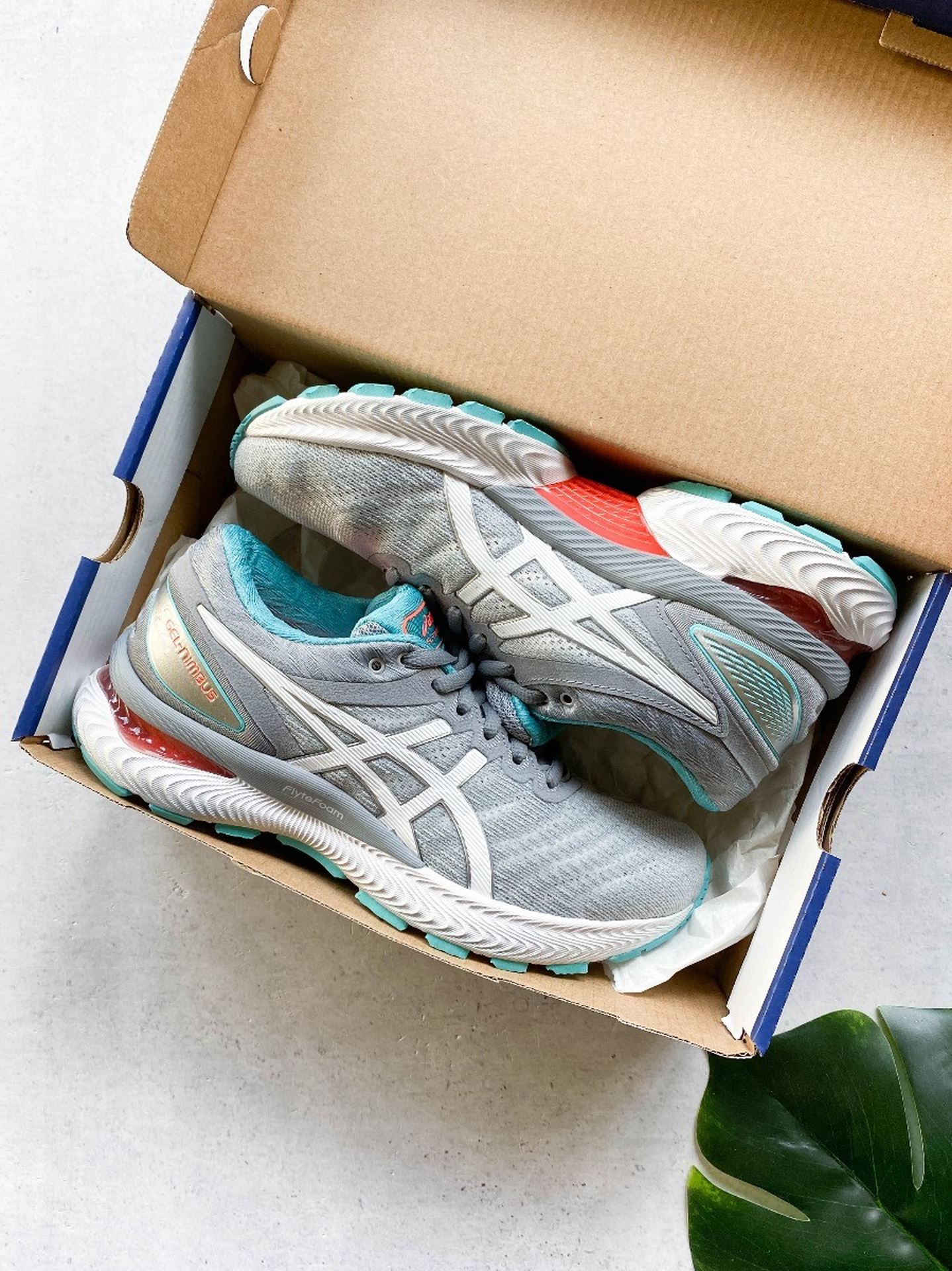 Gel-Nimbus 22