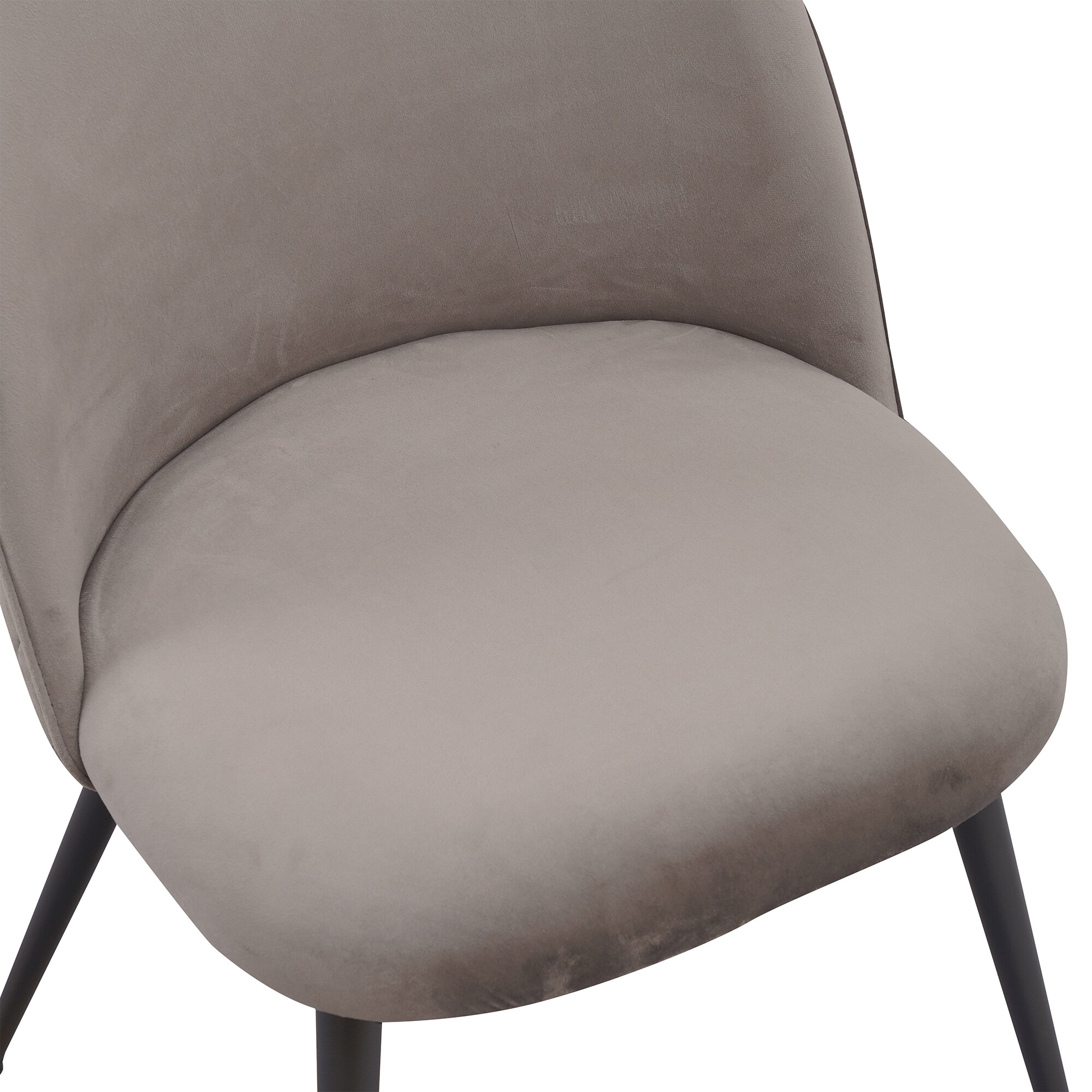 Albatros Esszimmerstühle mit Samt-Bezug 4er Set CAPO, Grau - Stilvolles Vintage Design, Eleganter Polsterstuhl am Esstisch - Küchenstuhl oder Stuhl Esszimmer mit hoher Belastbarkeit