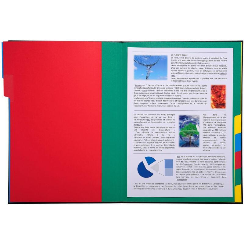 Trieur rigide ordonator dos extensible 9 compartiments - Couleurs assorties