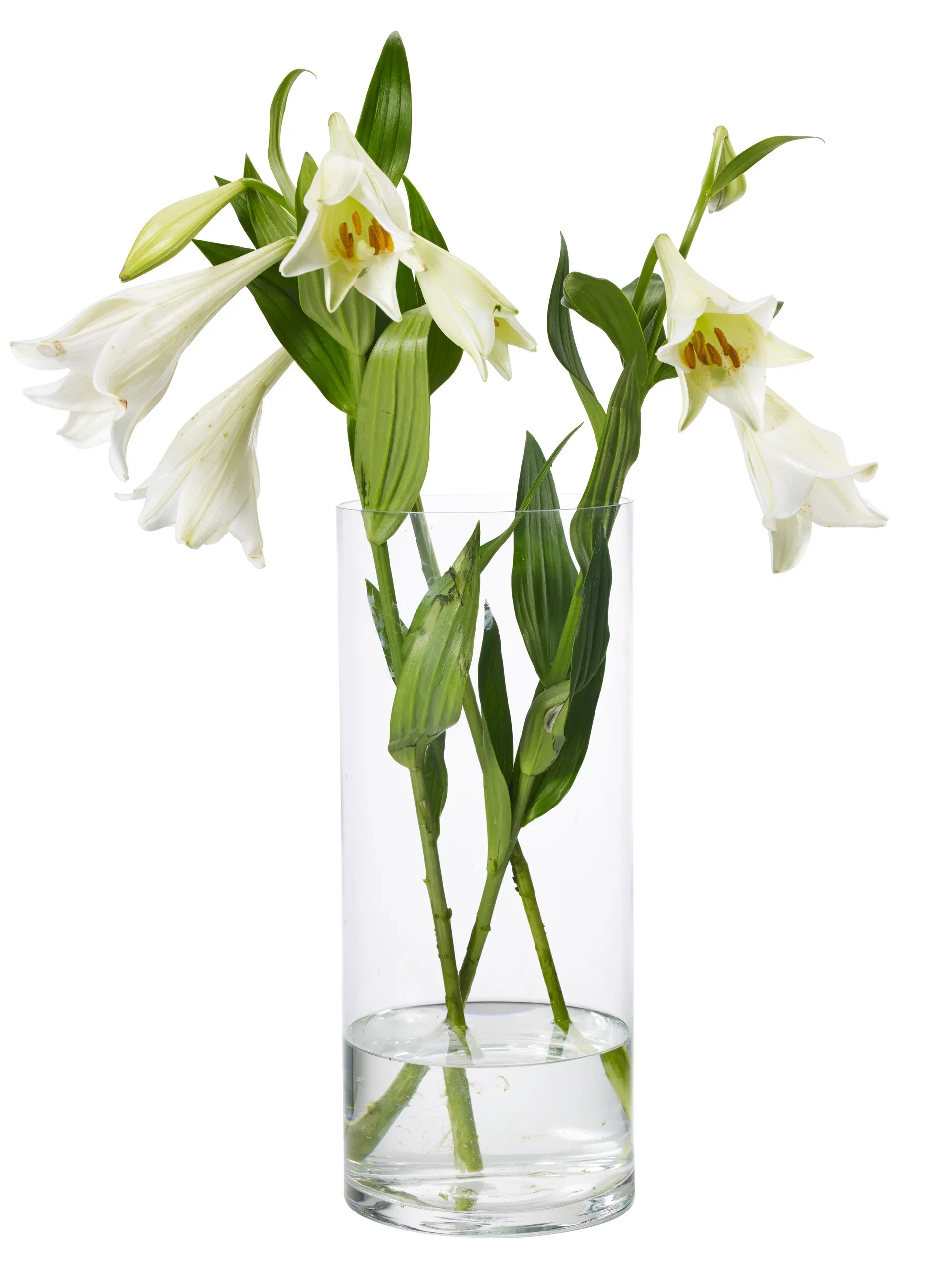 Vase Jennifer Høyde 30 cm