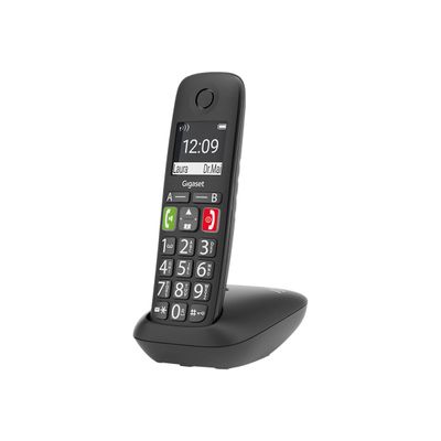 Gigaset E290 Duo - téléphone sans fil à grosse touche + combiné supplémentaire - blanc