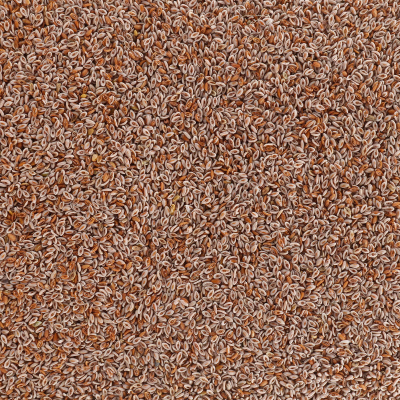 Vitana Sättigungsergänzung Indische Flohsamen für Hunde 150g