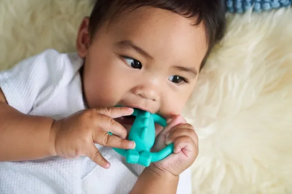 Matchstick Monkey Teether Dinosaur