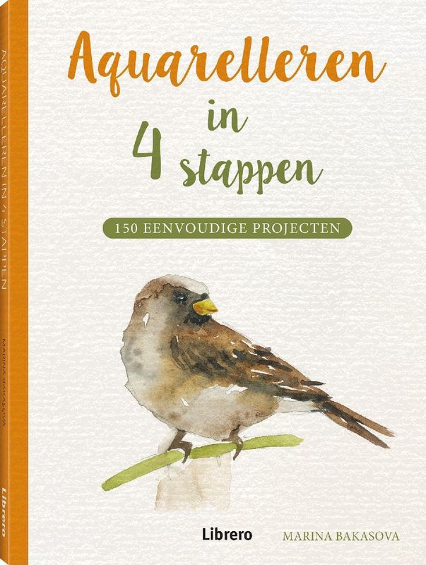 Aquarelleren In 4 Stappen